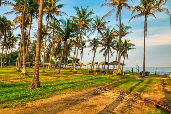 Discover the Elite Experience: How to Book a Private Whisky Tasting at a Premier Scottish Distillery